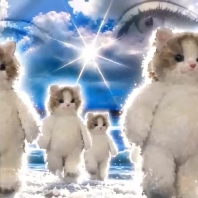 MIU heavenly video
